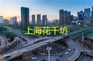 上海后花园大冒险：穿越城市尽享大自然之美！